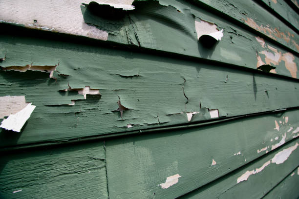 Trusted Downey, CA Siding Installation & Repair Experts